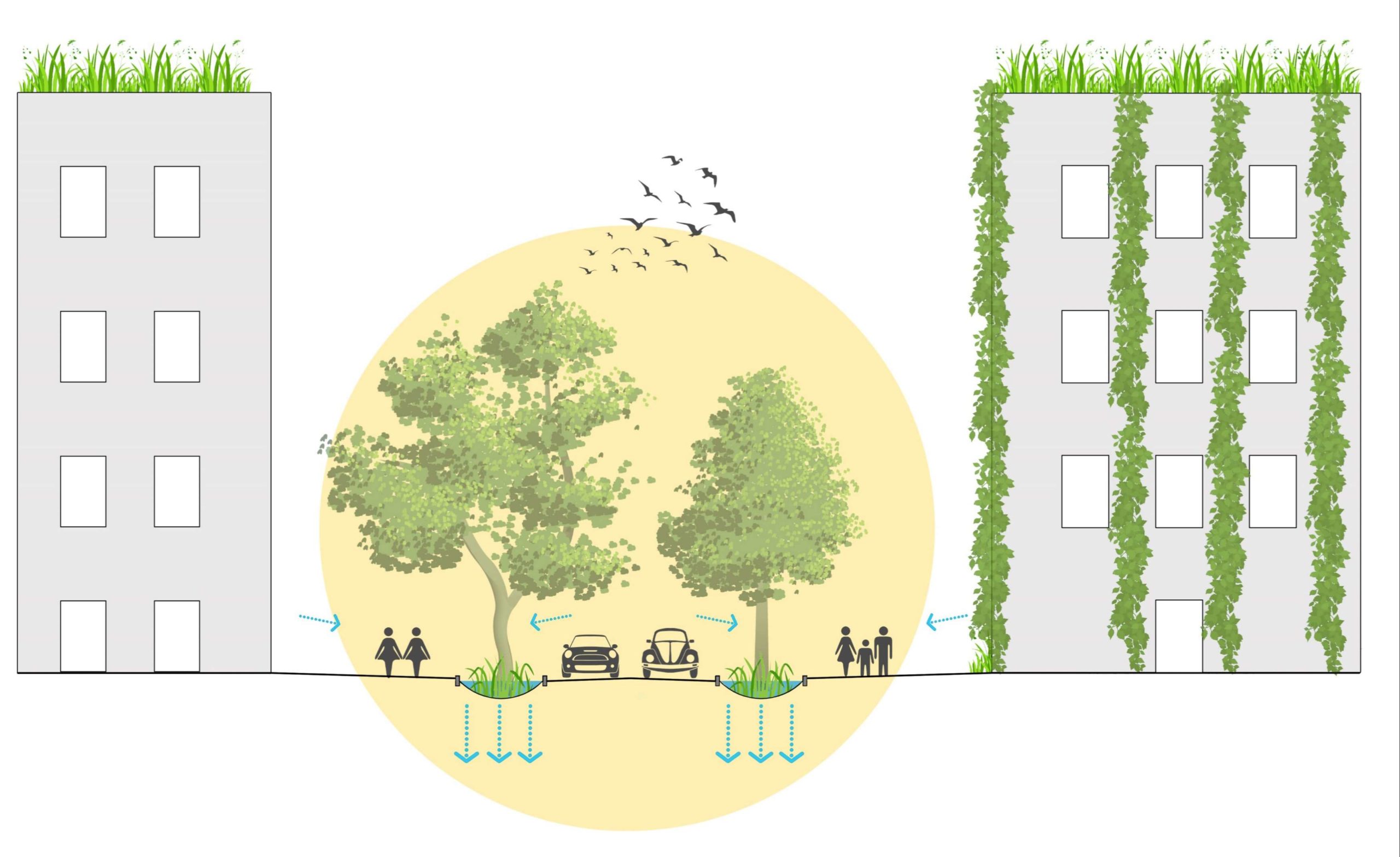 Rainwater concepts for Berlin and surroundings